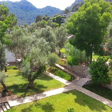 Loryma Θέρετρο Turunc