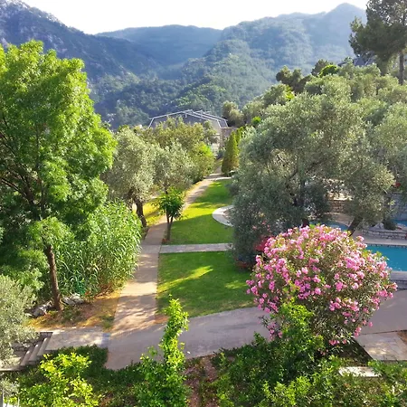 Loryma トゥルンチュ